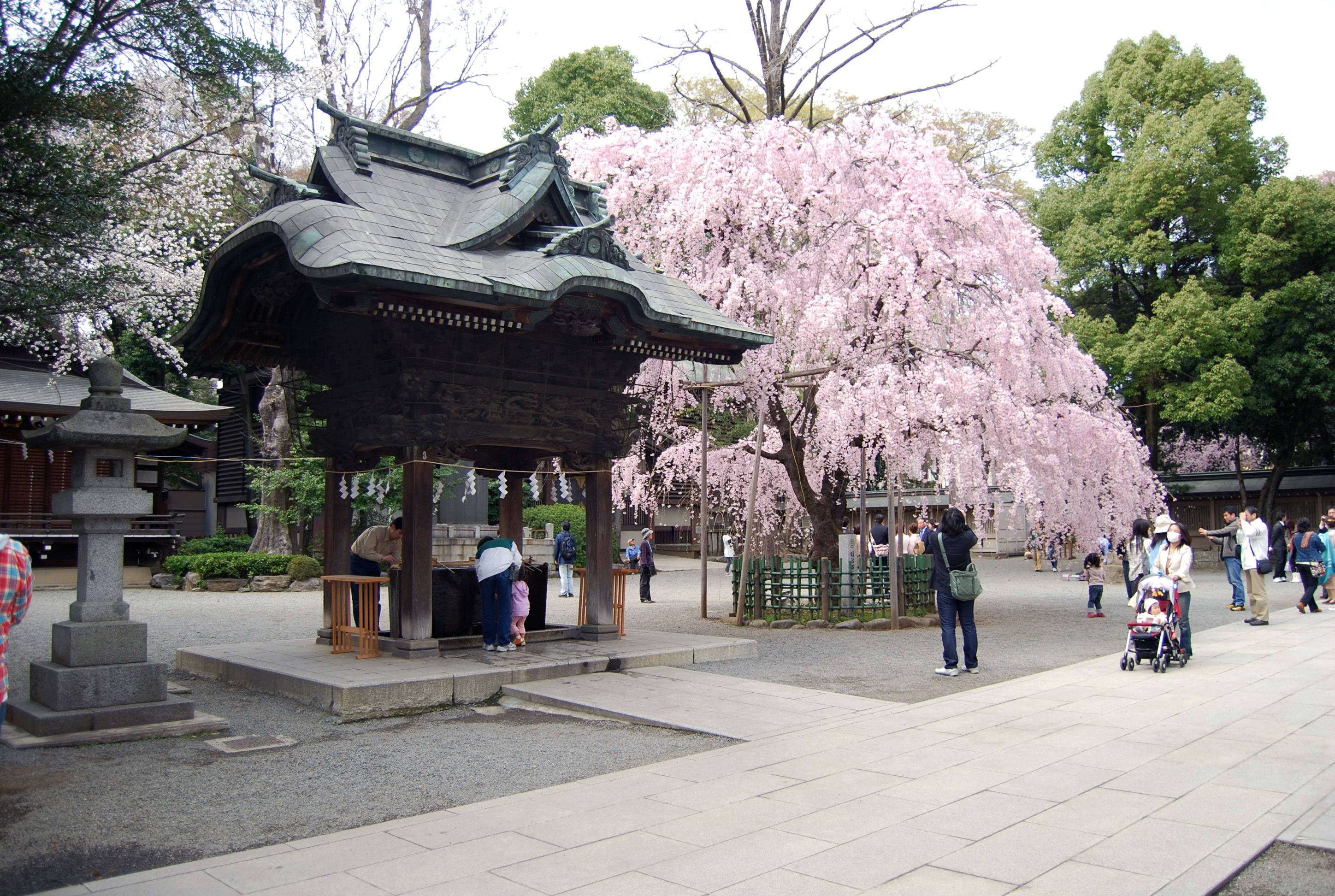 ⛩️ 오쿠니타마 신사 이미지 6